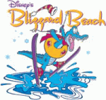 Disney Blizzard Beach Water Park