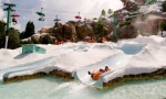 Snow Stormers at Disney Blizzard Beach Water Park